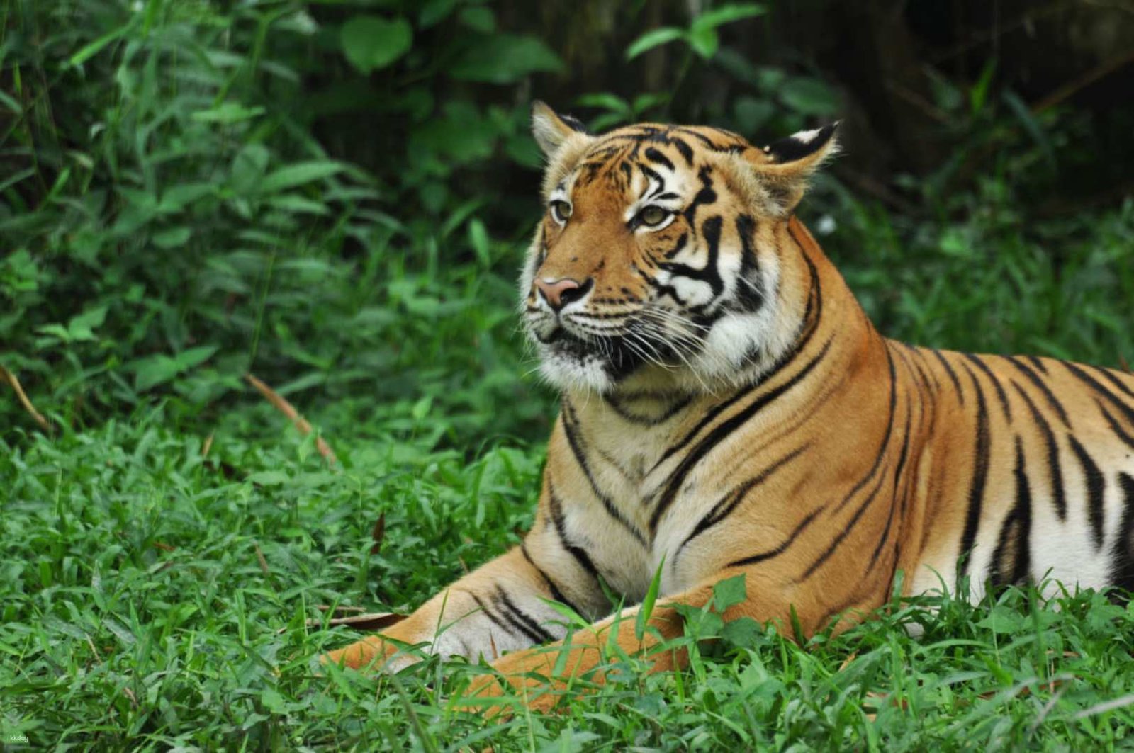 group flight booking