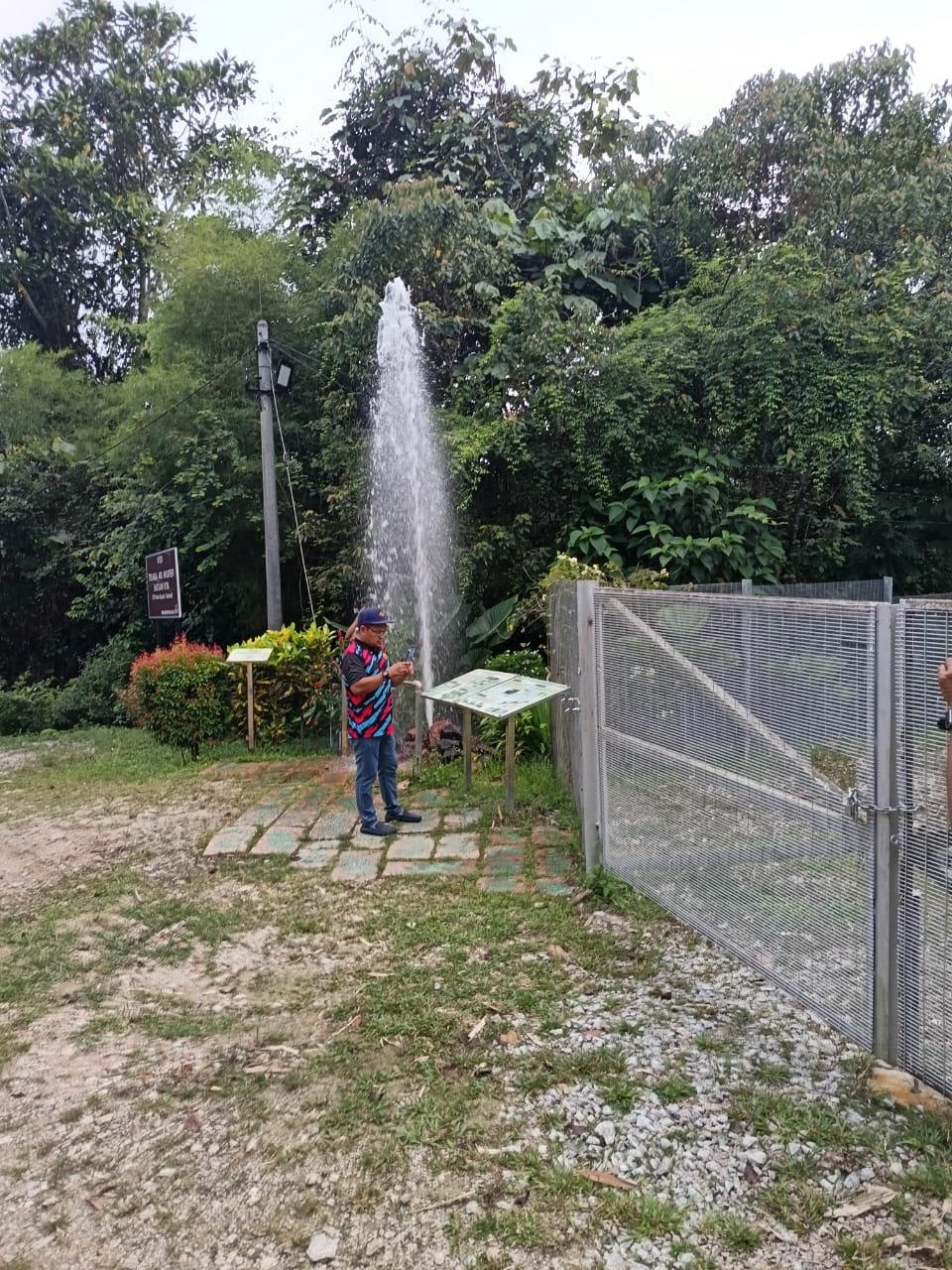 Aktiviti kanak-kanak